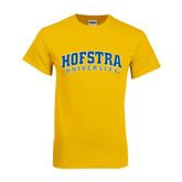 hofstra t shirt