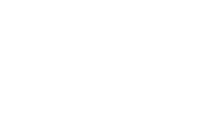 Houston Cougars