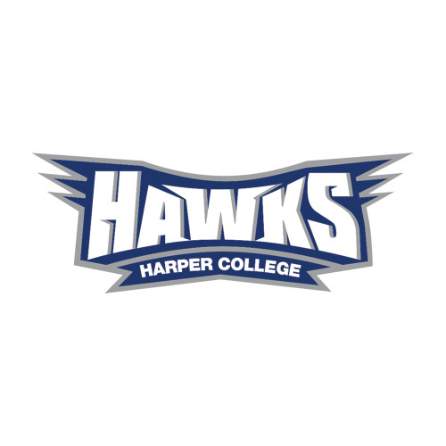  Medium Decal - Hawks