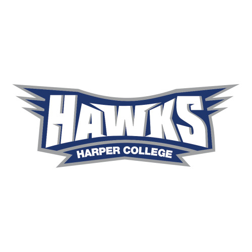 Large Decal - Hawks