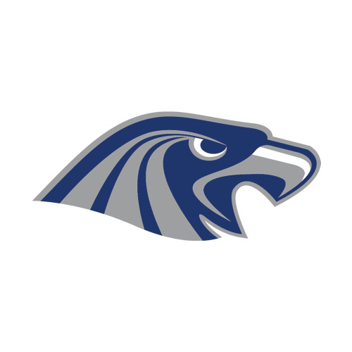  Small Decal - Hawk Head