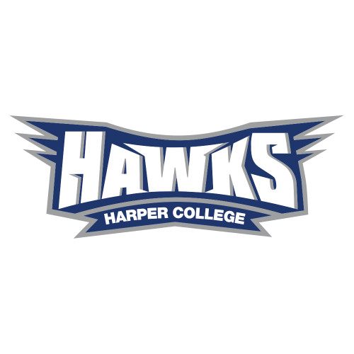  Extra Large Decal - Hawks