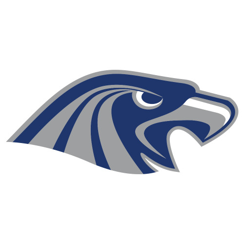  Extra Large Decal - Hawk Head