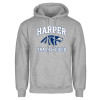 Thumbnail image for  Grey Fleece Hoodie