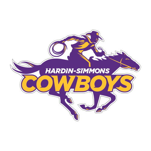  Medium Decal - Primary Logo