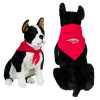 Thumbnail image for  Red Pet Bandana