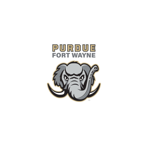  Medium Decal - Purdue University Fort Wayne Primary Athletic Mark