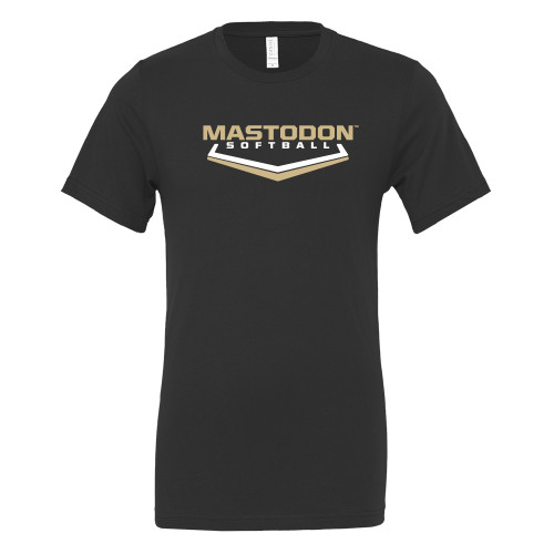  Bella + Canvas Black Jersey Cotton T Shirt - Purdue University Fort Wayne Softball Graphic