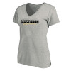 Thumbnail image for  Womens Plus Heather Grey V Neck T Shirt