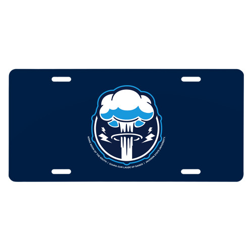  License Plate - Skin