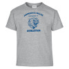 Thumbnail image for  Youth Grey T Shirt