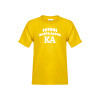 Thumbnail image for  Youth Gold T-Shirt
