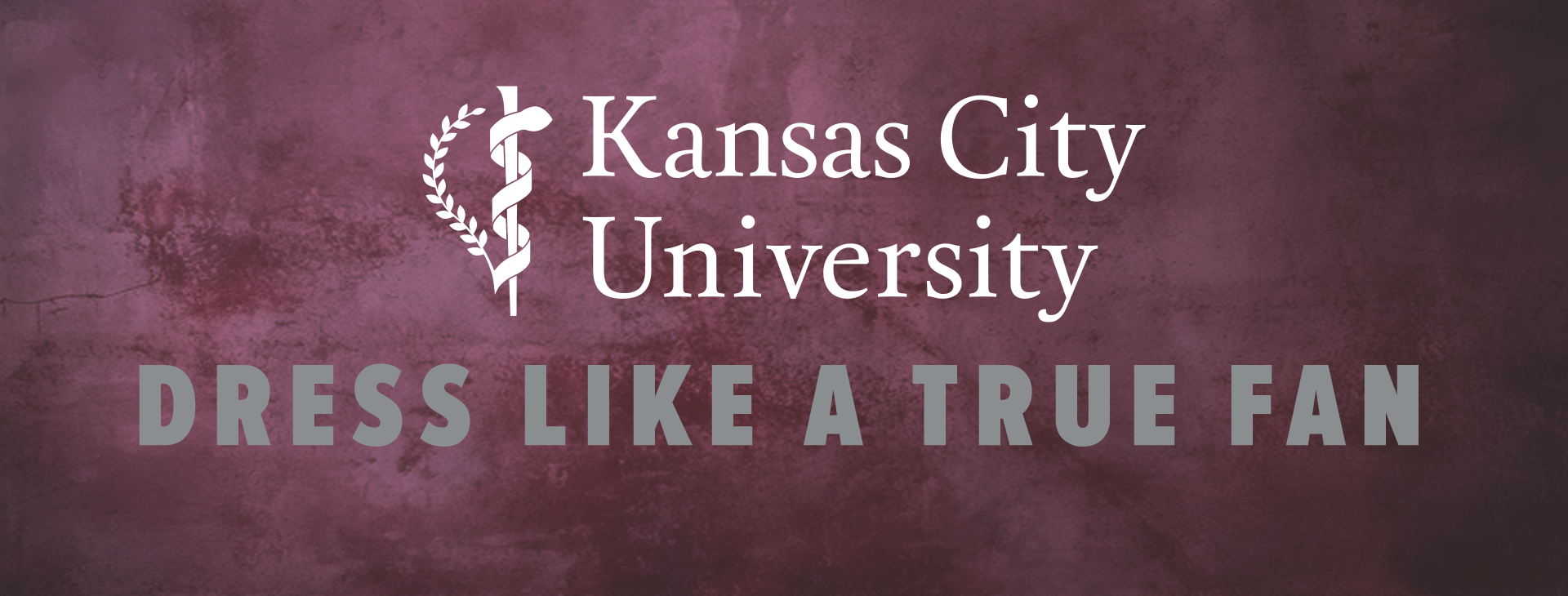 Promotional banner
