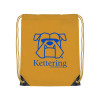 Thumbnail image for  Gold Drawstring Backpack