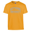 Thumbnail image for  Youth Gold T Shirt
