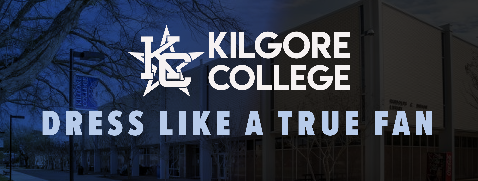 Promotional banner
