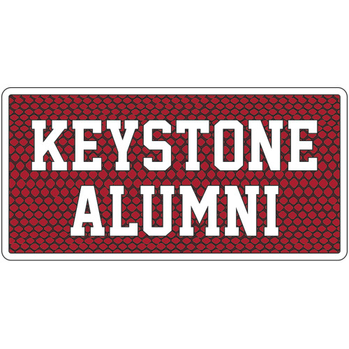  Large Decal - Alumni