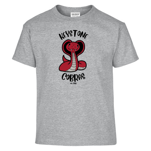  Youth Grey T Shirt - The Little School of Keystone - Cobras