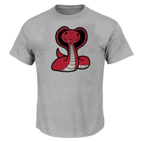  Tall Heather Grey T Shirt - The Little School of Keystone