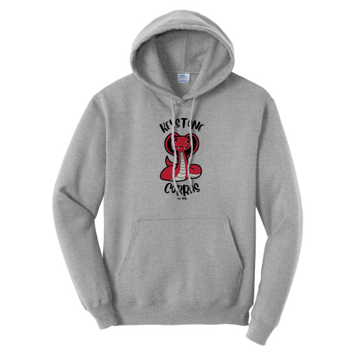  Tall Athletic Heather Fleece Hoodie - The Little School of Keystone - Cobras