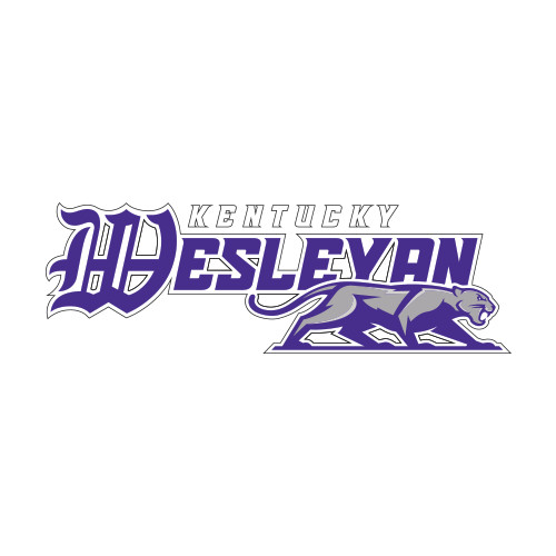  Medium Decal - Primary Logo