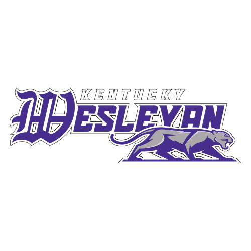  Extra Large Decal - Primary Logo