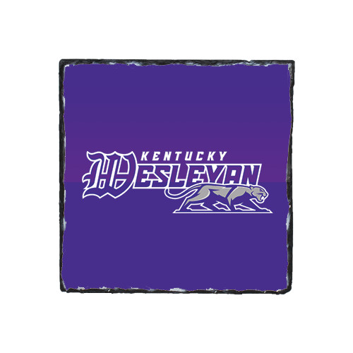  Photo Slate - Primary Logo