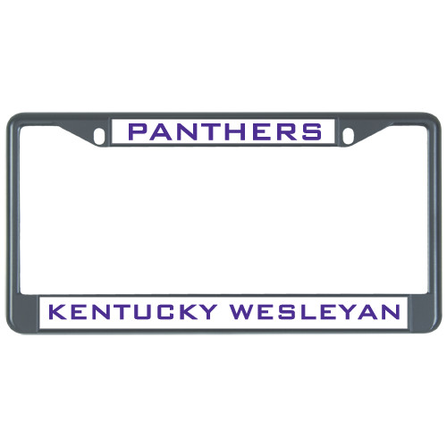 Metal License Plate Frame in Black - Panthers