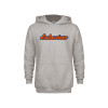 Thumbnail image for  Youth Grey Fleece Hood
