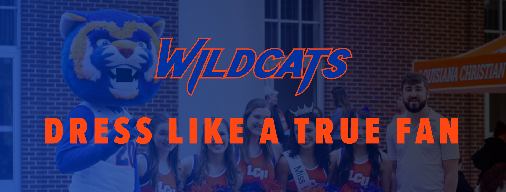 Promotional banner