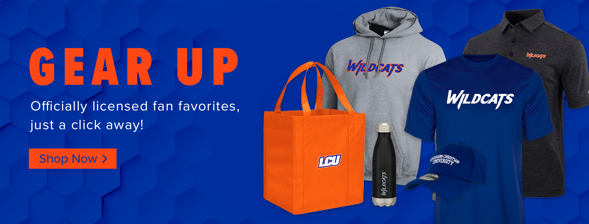 Promotional banner