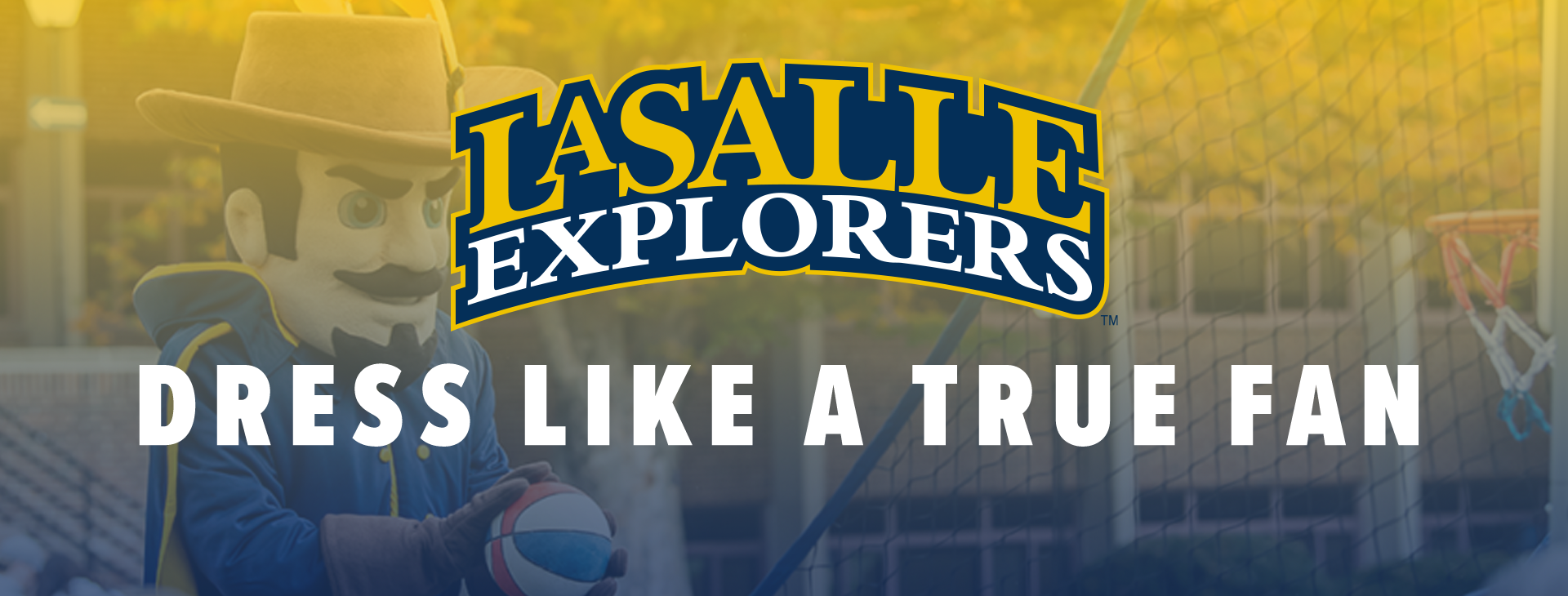 Promotional banner
