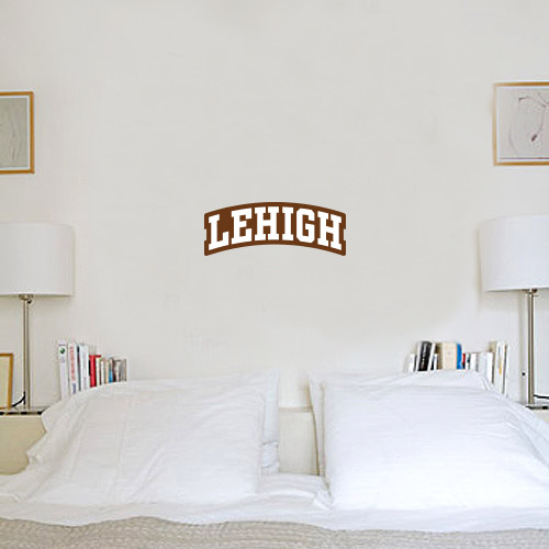  6 in x 1 ft Fan WallSkinz - Arched Lehigh