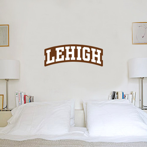  6 in x 2 ft Fan WallSkinz - Arched Lehigh