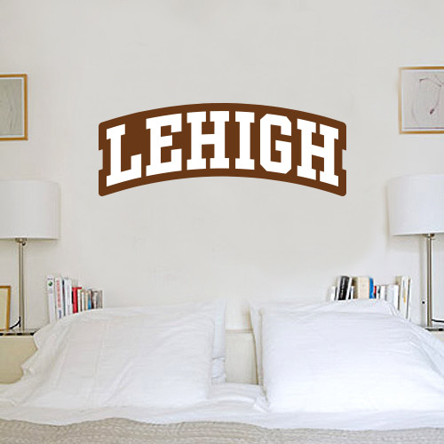  1 ft x 3 ft Fan WallSkinz - Arched Lehigh