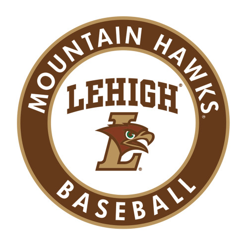  Large Decal - Lehigh Baseball