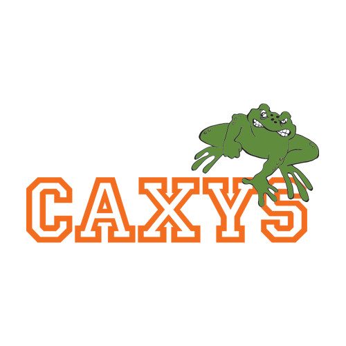  Medium Decal - Caxys Wordmark with Frog 