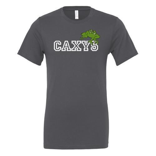  Bella + Canvas Asphalt Jersey Cotton T Shirt - Caxys Wordmark with Frog 