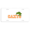 Thumbnail image for  License Plate