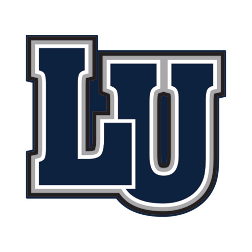  Large Decal - Interlocking LU
