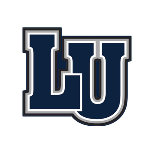  Small Decal - Interlocking LU