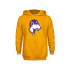 Thumbnail image for  Youth Gold Fleece Hoodie