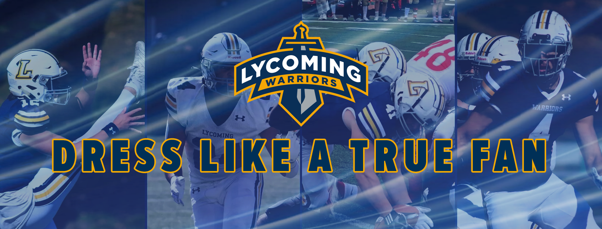 Promotional banner