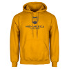 Thumbnail image for  Gold Fleece Hoodie