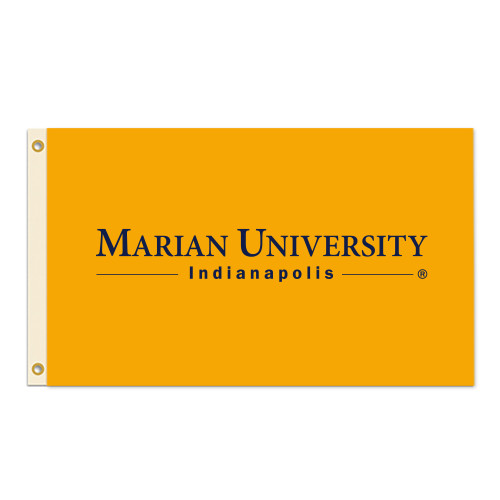  3 ft x 5 ft Flag - Primary Mark