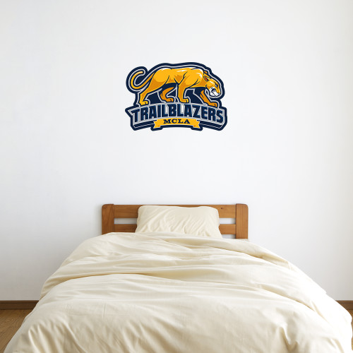  3 ft x 3 ft Fan WallSkinz - Primary Mark