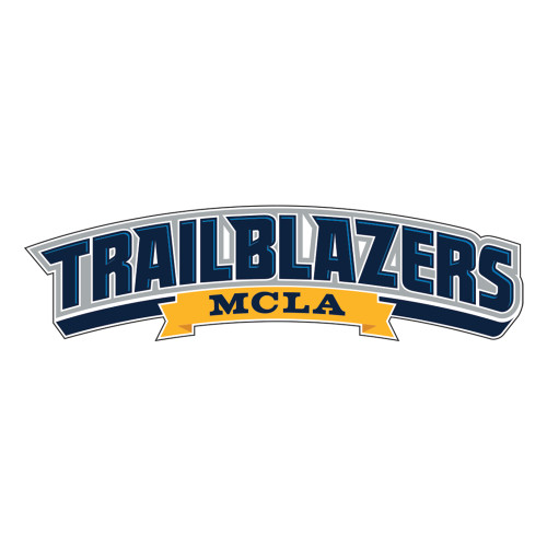  Large Decal - Wordmark