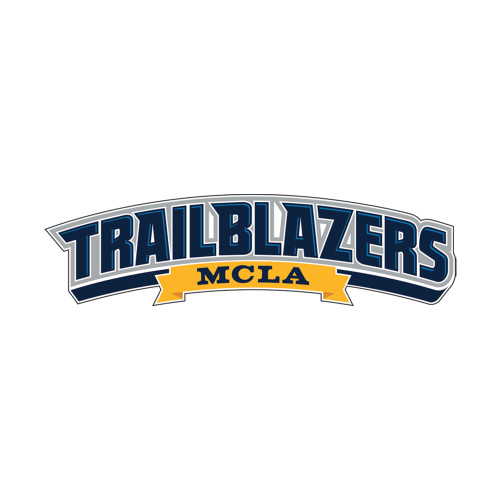  Small Decal - Wordmark