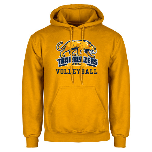 Massachusetts College Gold Fleece Hoodie