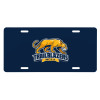 Thumbnail image for  License Plate